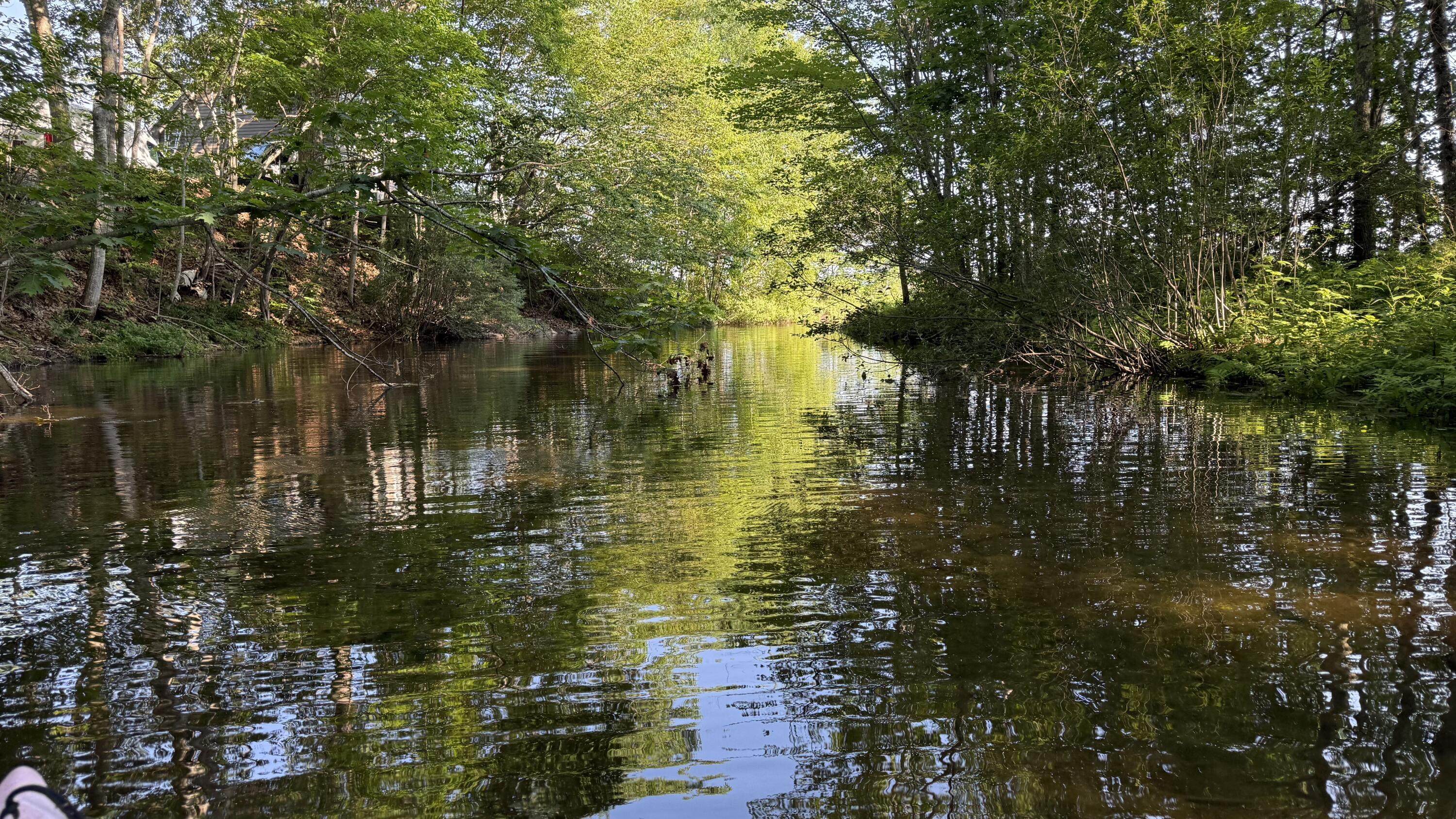 1 Dakin Lane