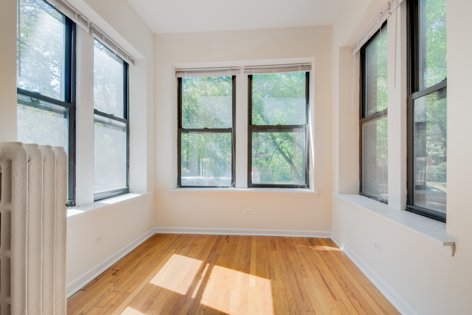 5433 S University Avenue Unit: 3N