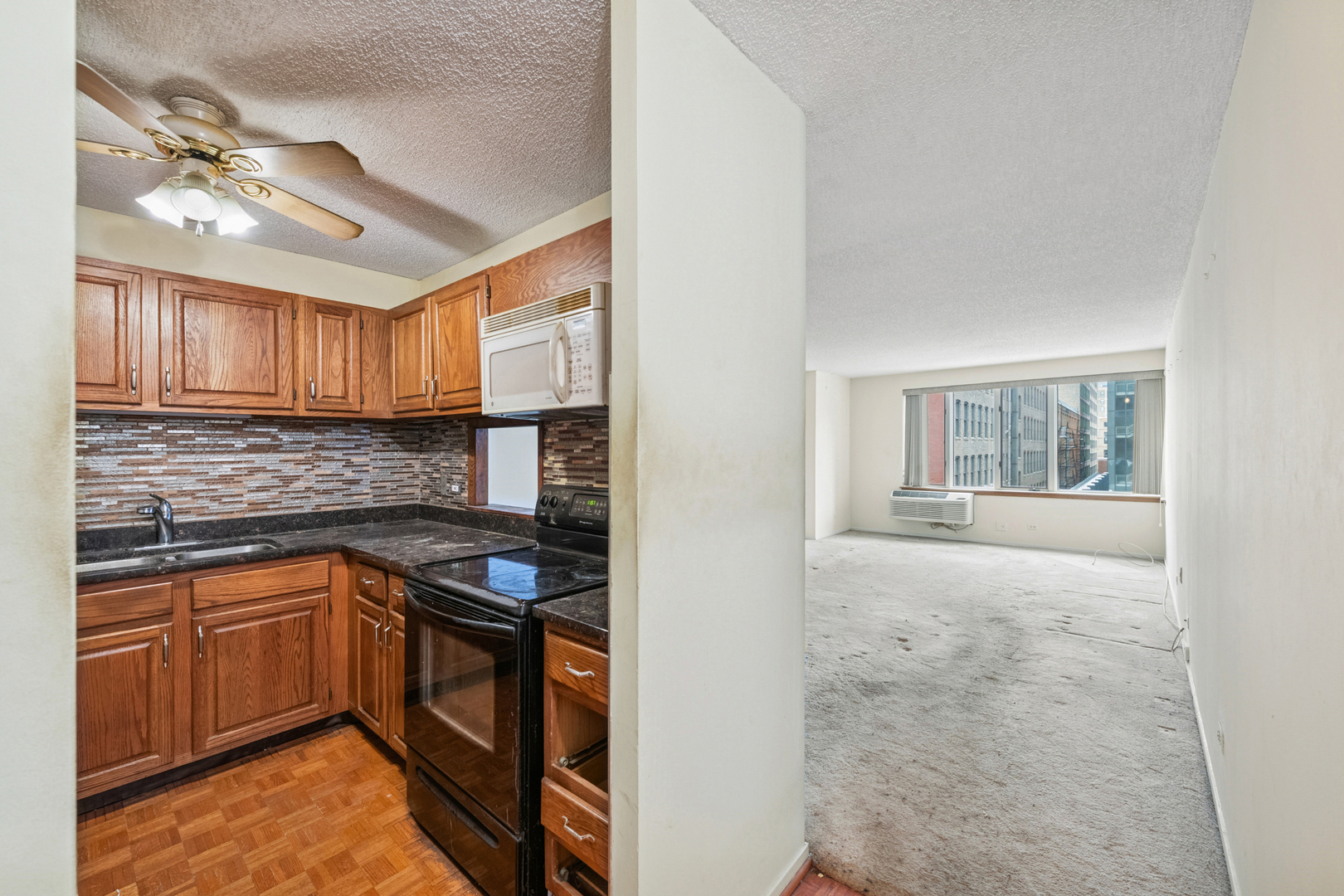 801 S Plymouth Avenue Unit: 415
