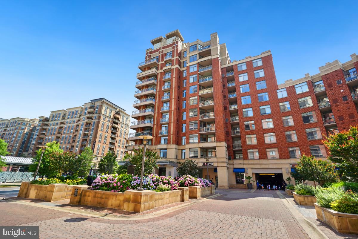 3650 S Glebe Rd #653