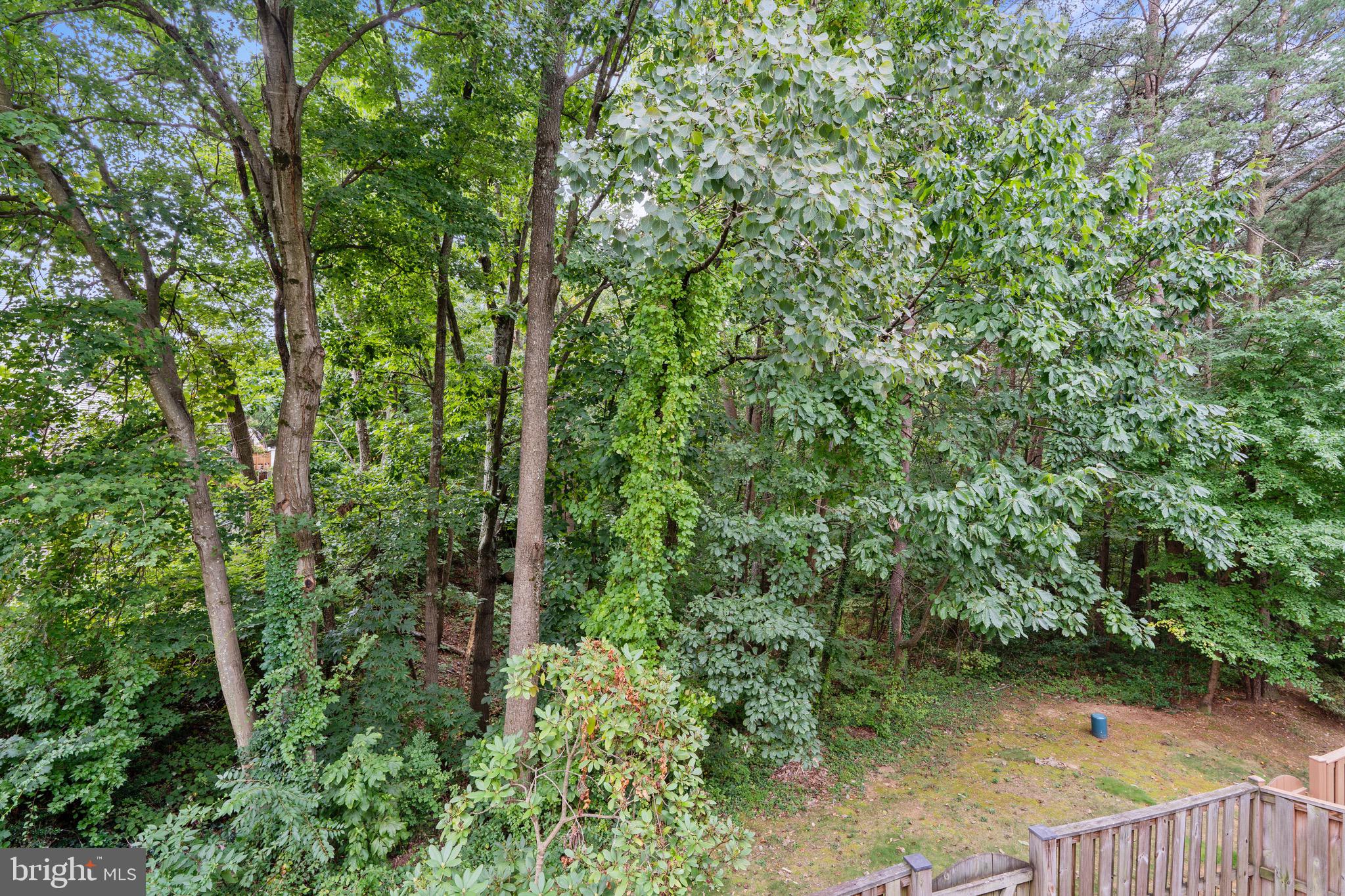 7691 LAVENHAM LANDING