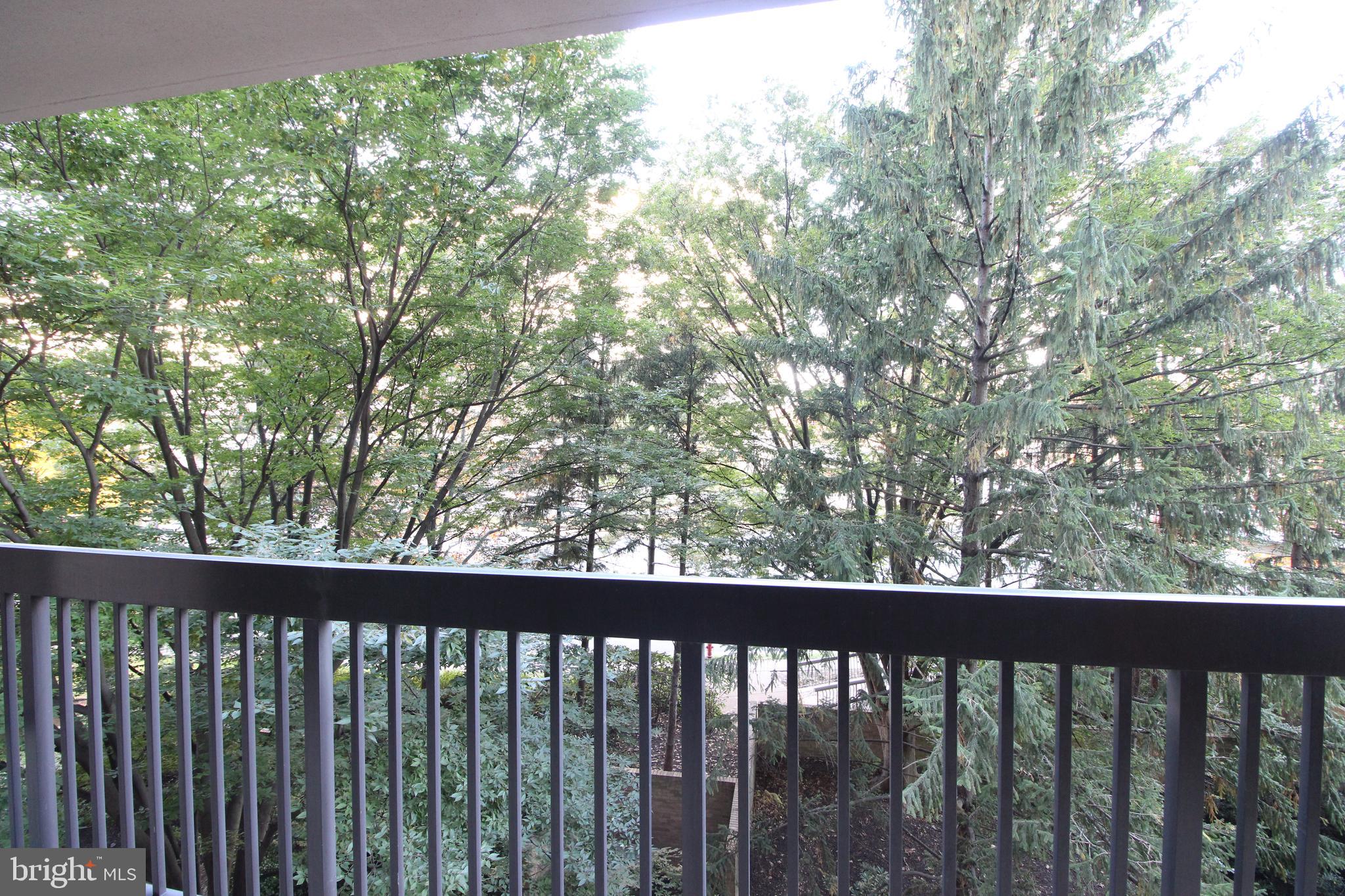 3709 S George Mason DRIVE Unit: 301