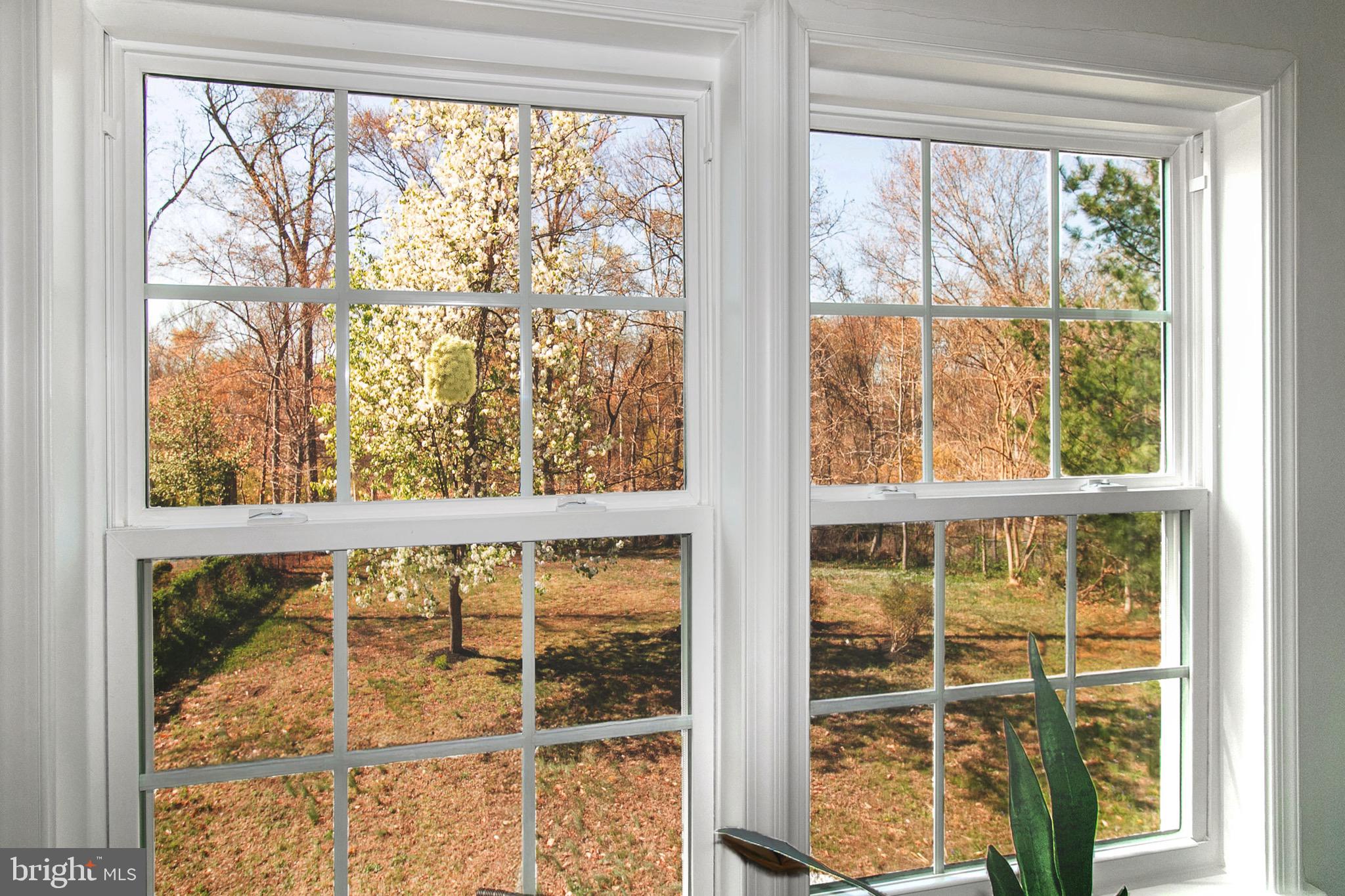 2300 William And Mary Dr