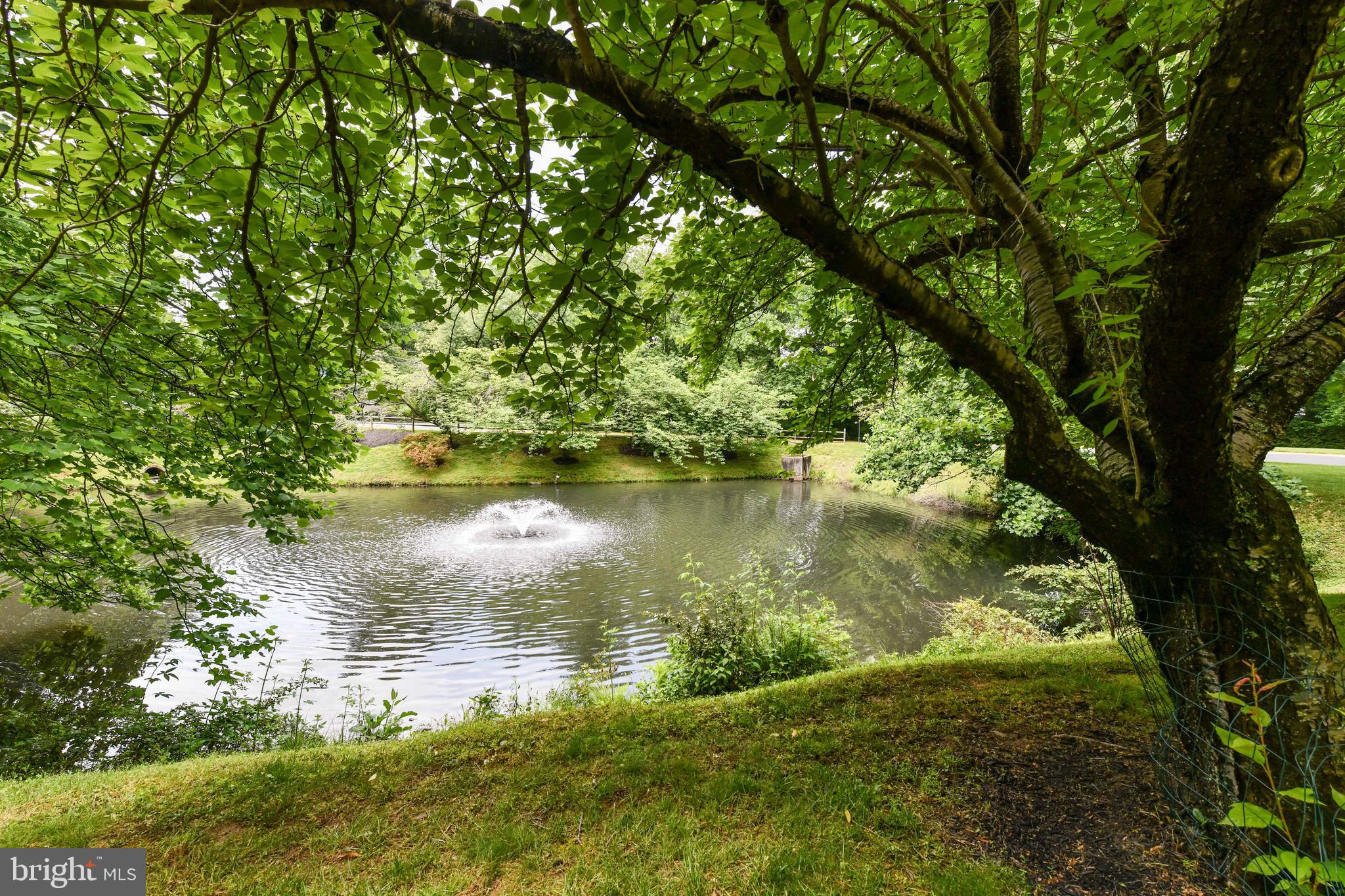 6862 WILLIAMSBURG POND CT