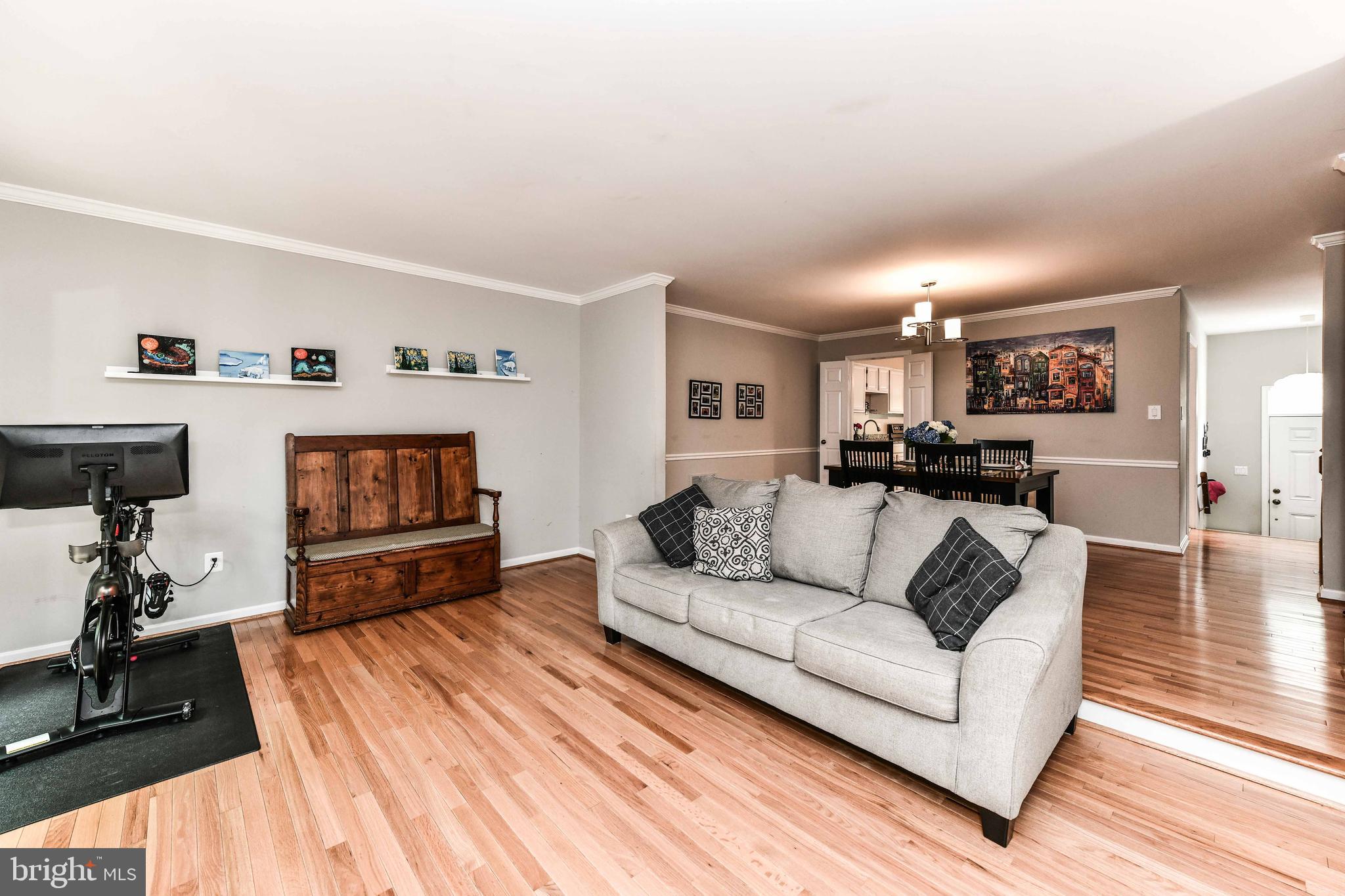 6862 WILLIAMSBURG POND CT