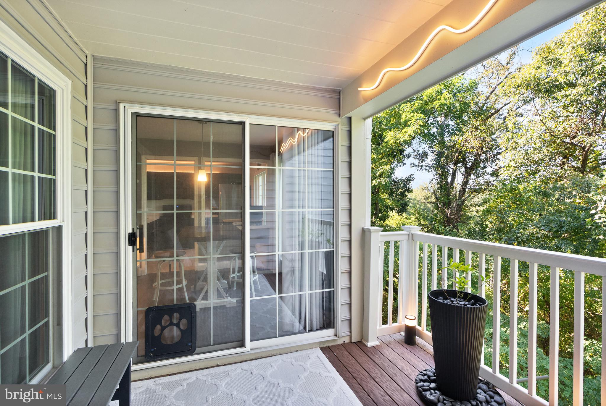 9298 CARDINAL FOREST LANE 302