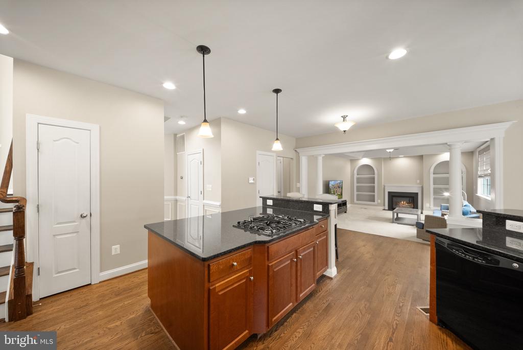 10800 HAGGLE COURT