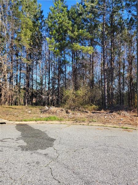 820 Pine Hill Court