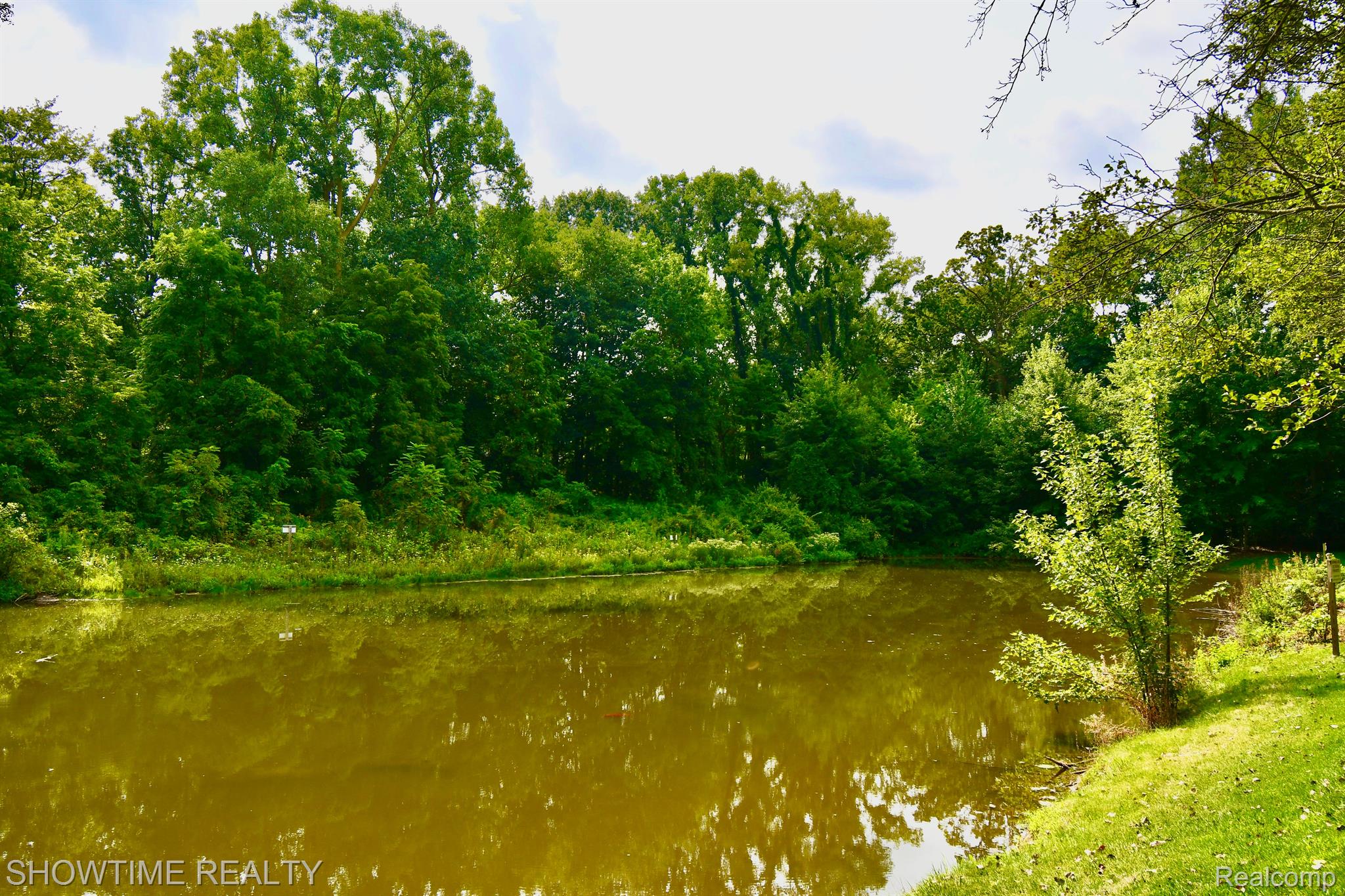 54106 LONGNEEDLE Drive