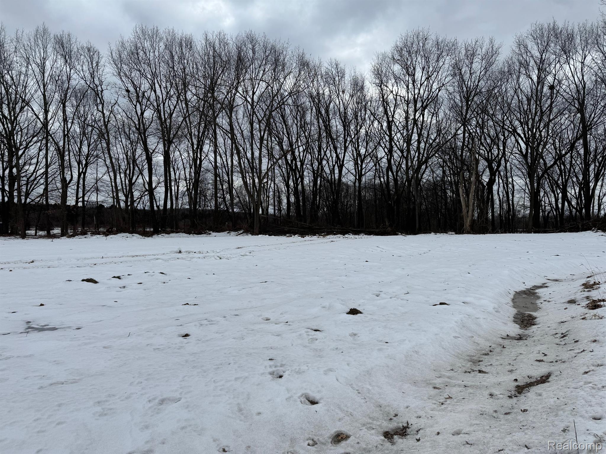 4095 Metamora Ridge
