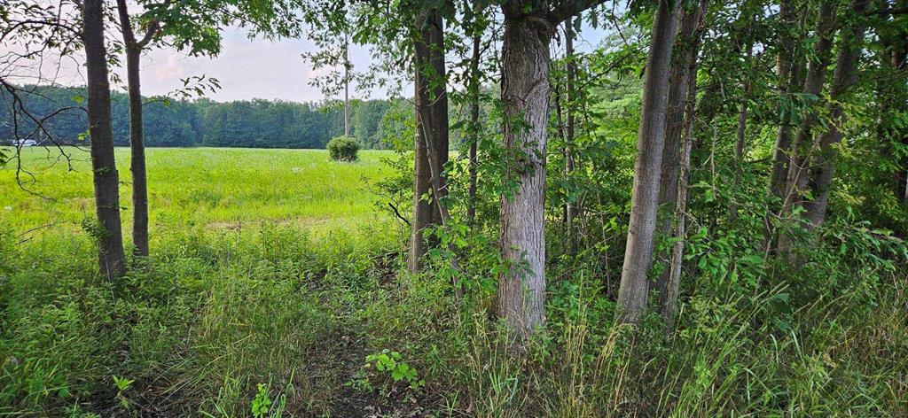 Vacant Irwin Parcel C