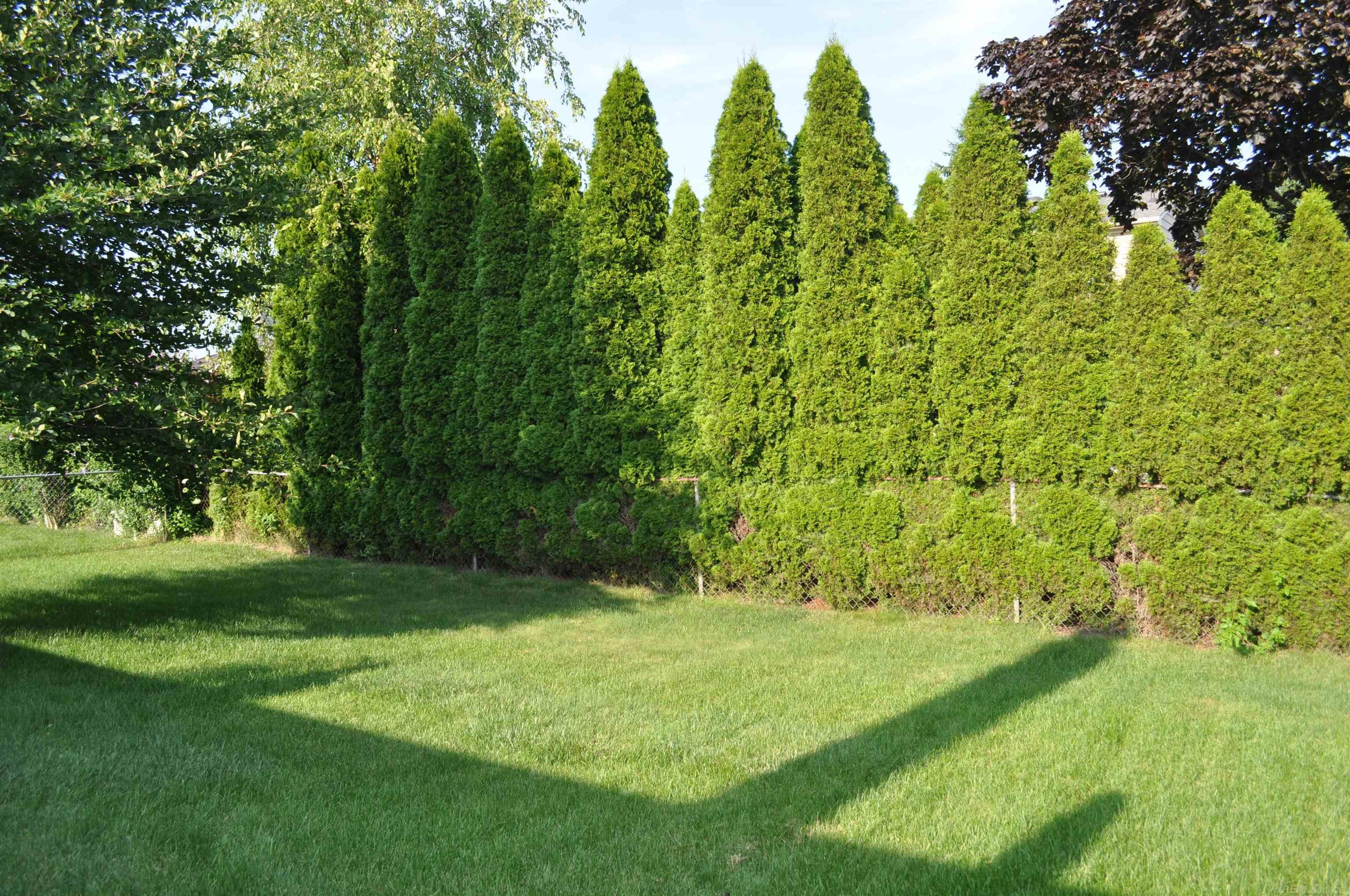 47476 Concord Road