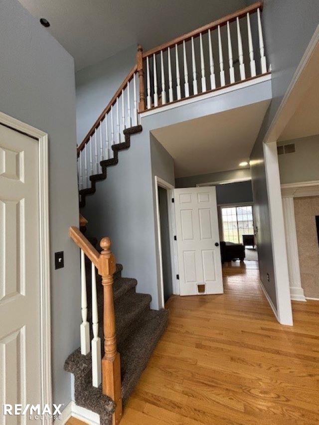 8991 Petz Lake Court