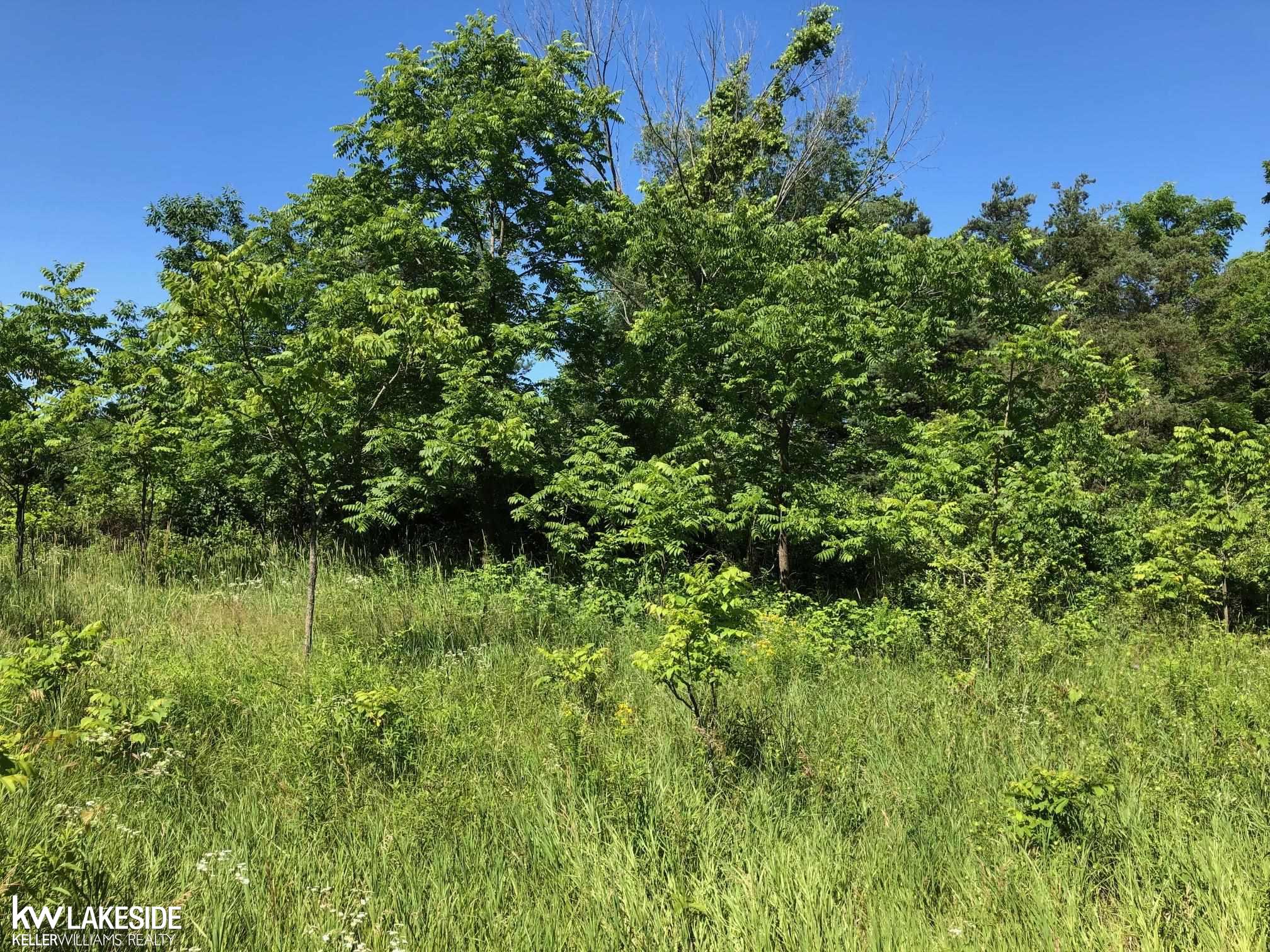 Vacant 31 Mile Rd Road