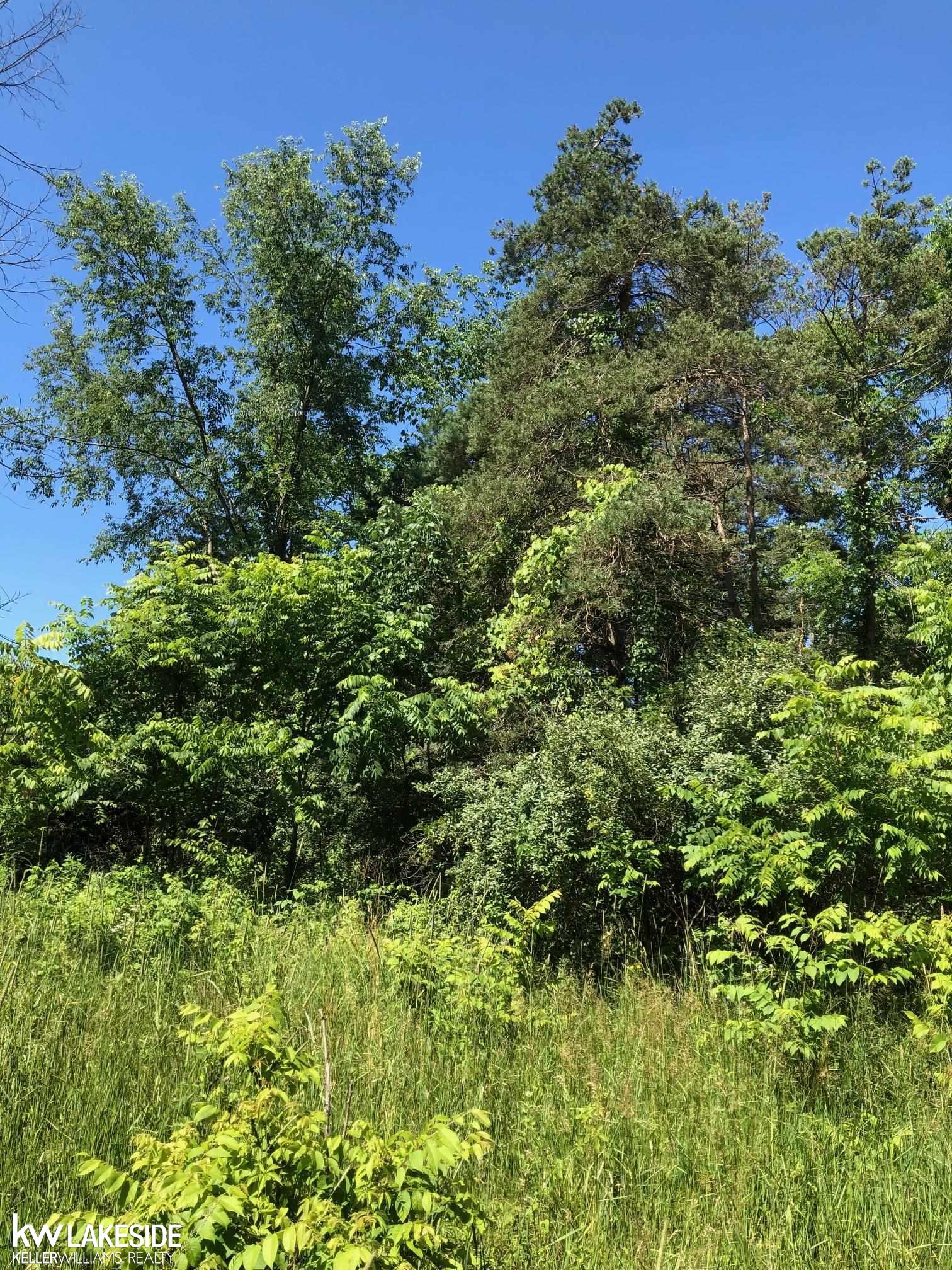 Vacant 31 Mile Rd Road