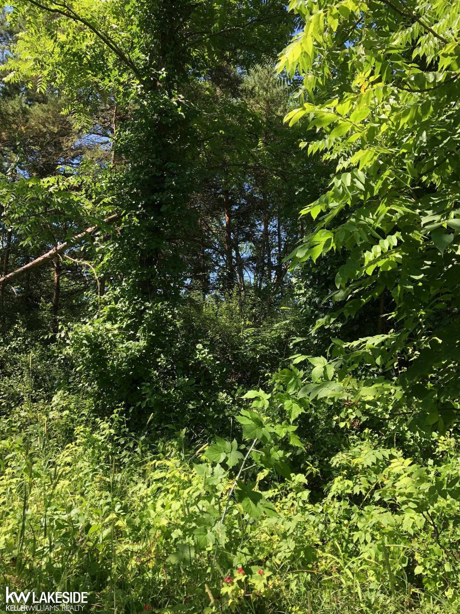 Vacant 31 Mile Rd Road