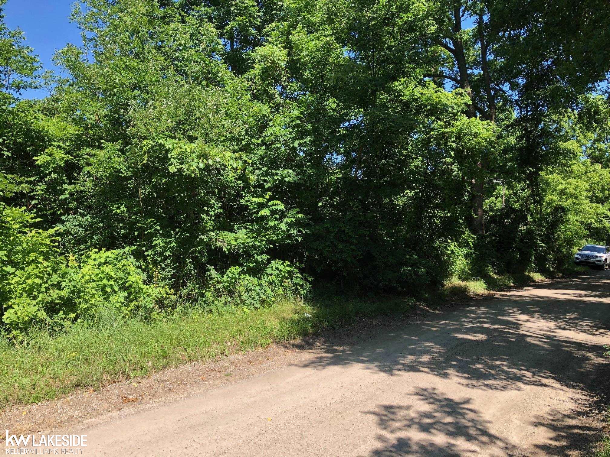 Vacant 31 Mile Rd Road