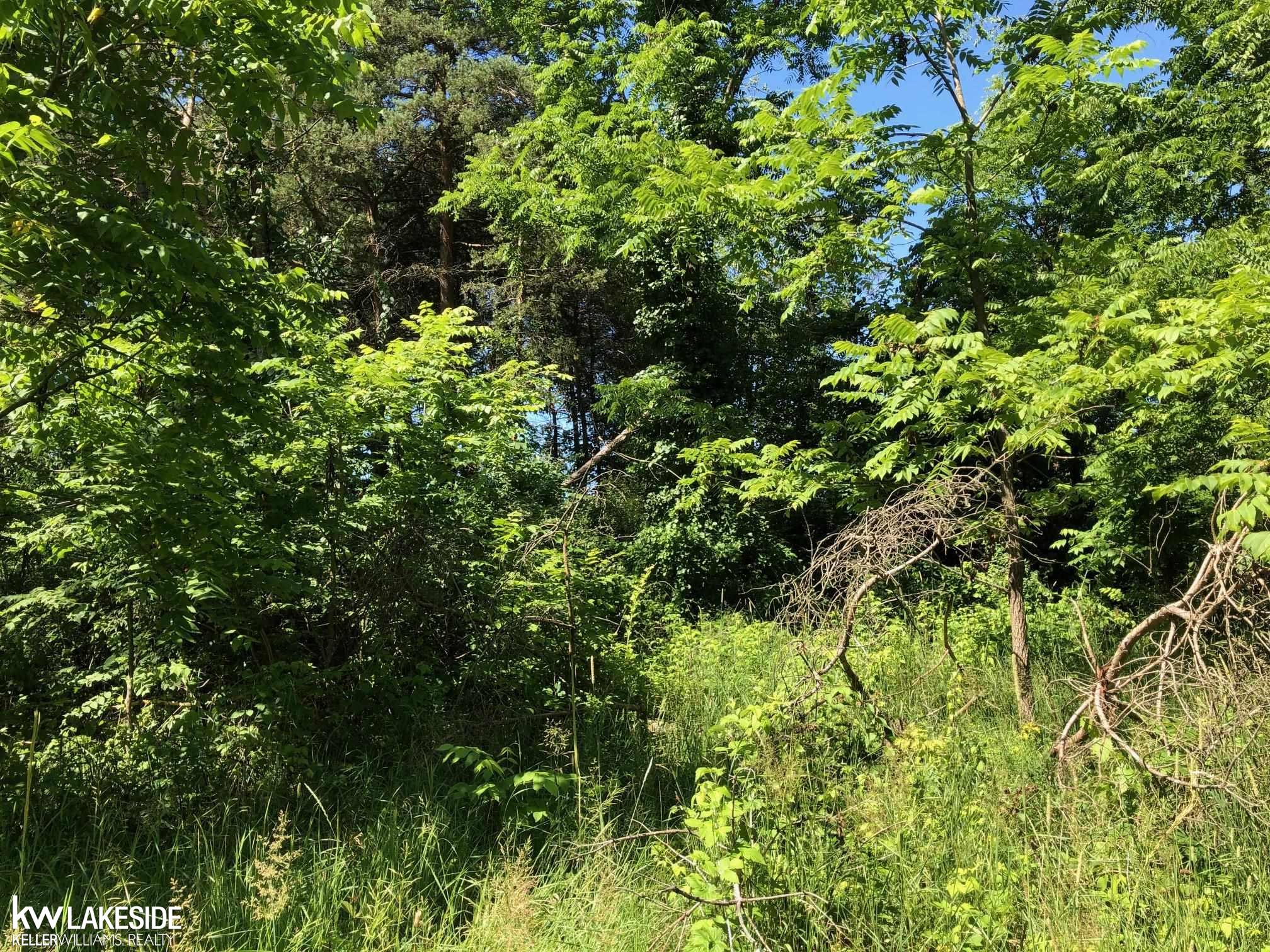 Vacant 31 Mile Rd Road