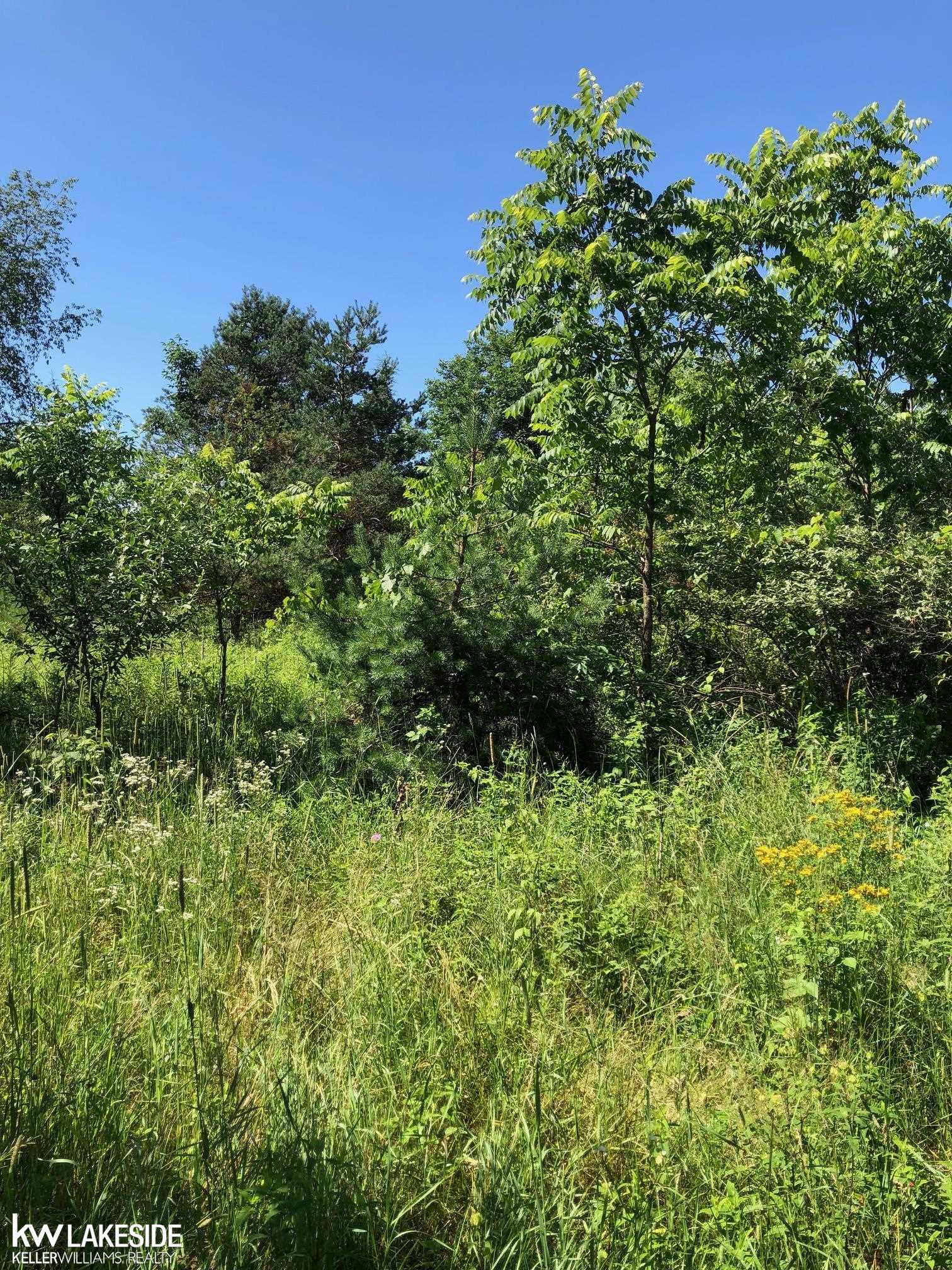 Vacant 31 Mile Rd Road