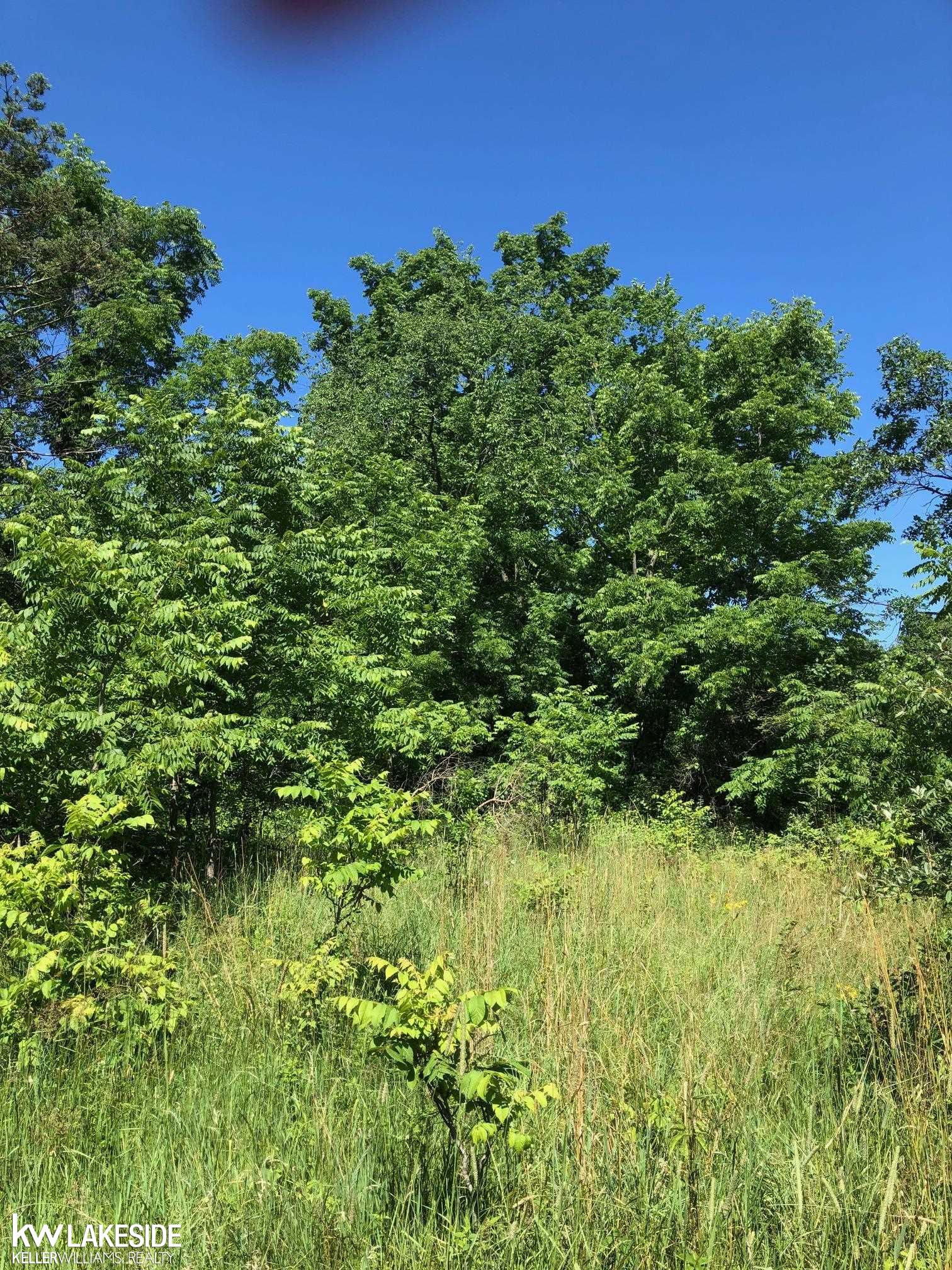 Vacant 31 Mile Rd Road