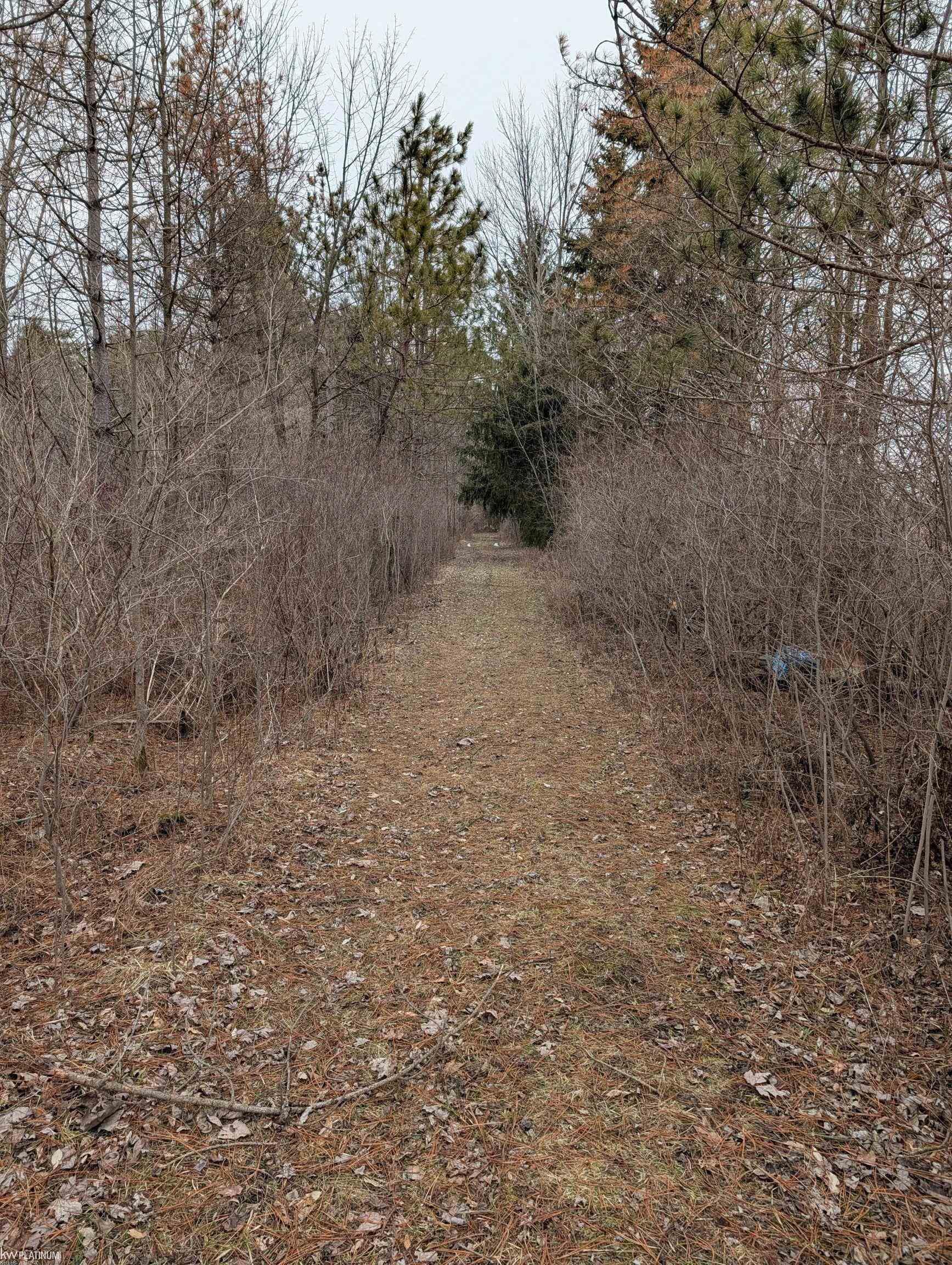 9072 Green Road