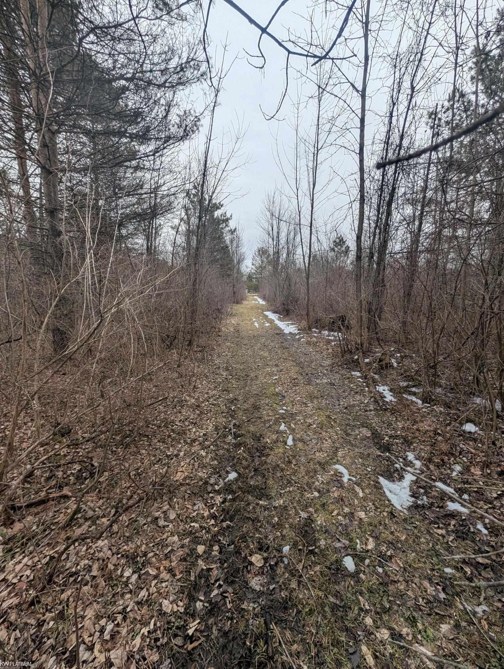 9072 Green Road
