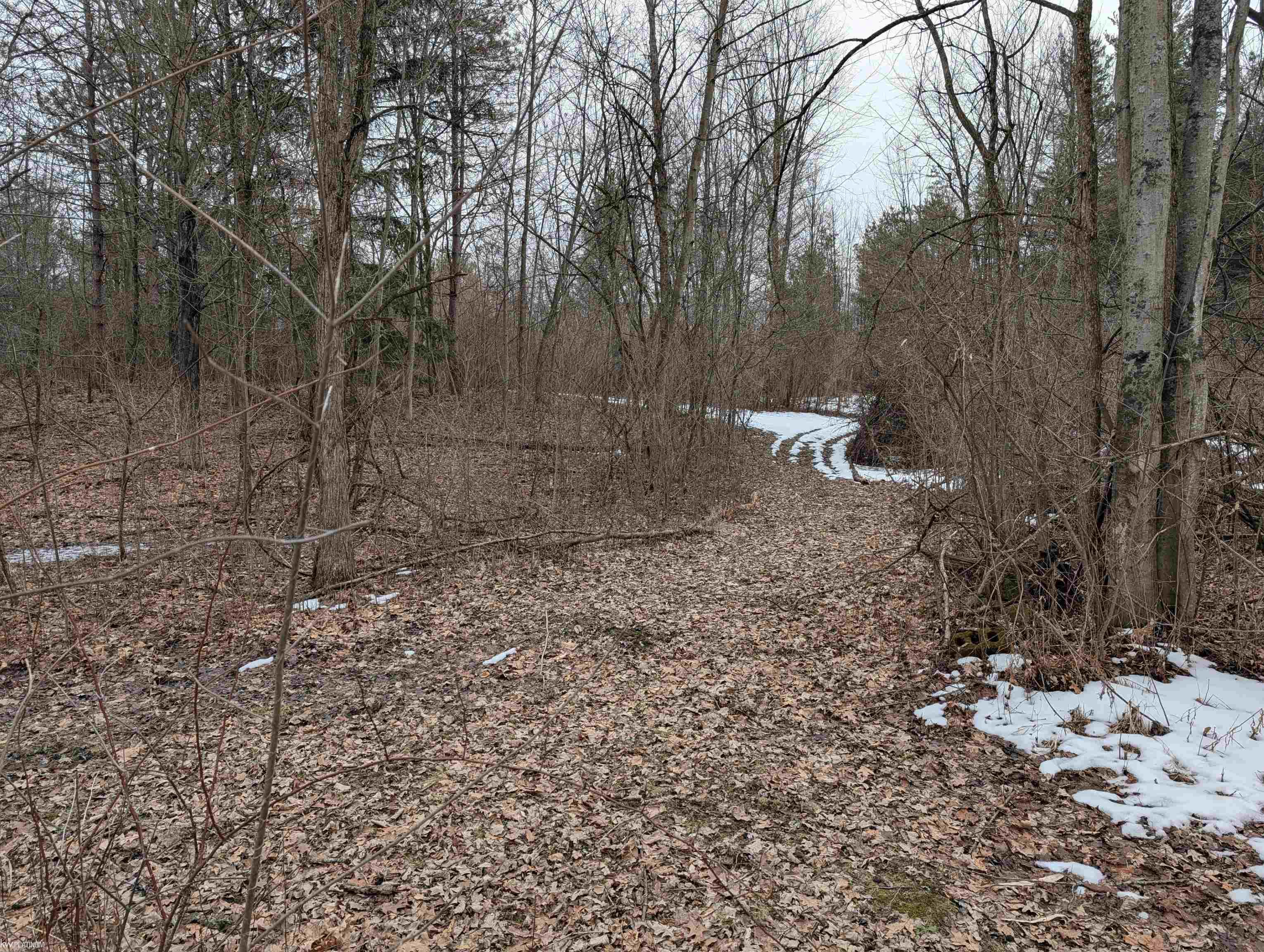 9072 Green Road