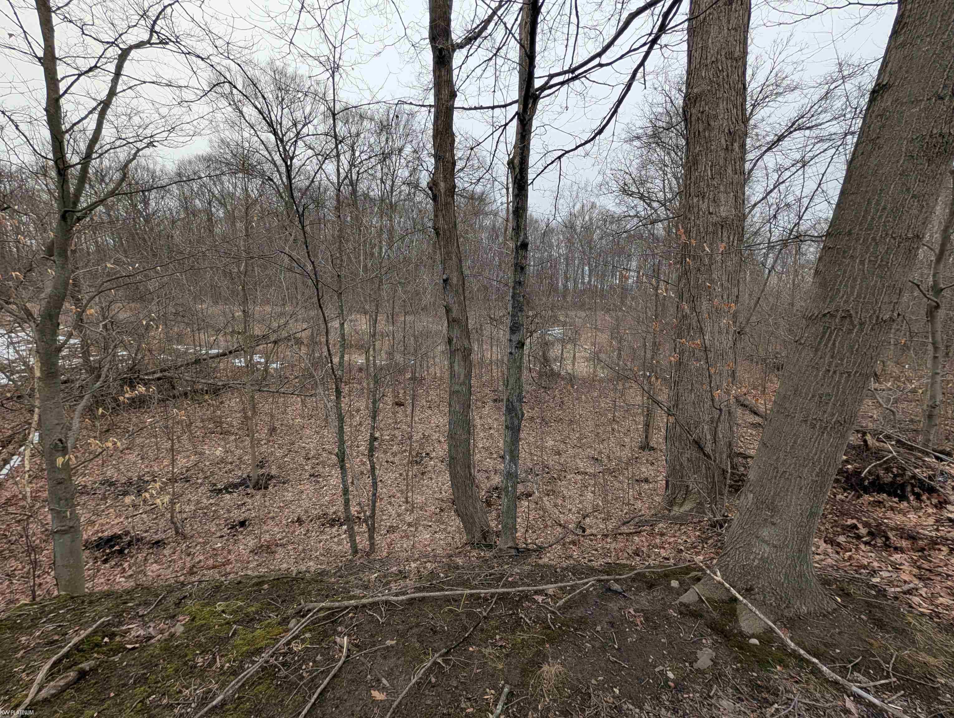9072 Green Road