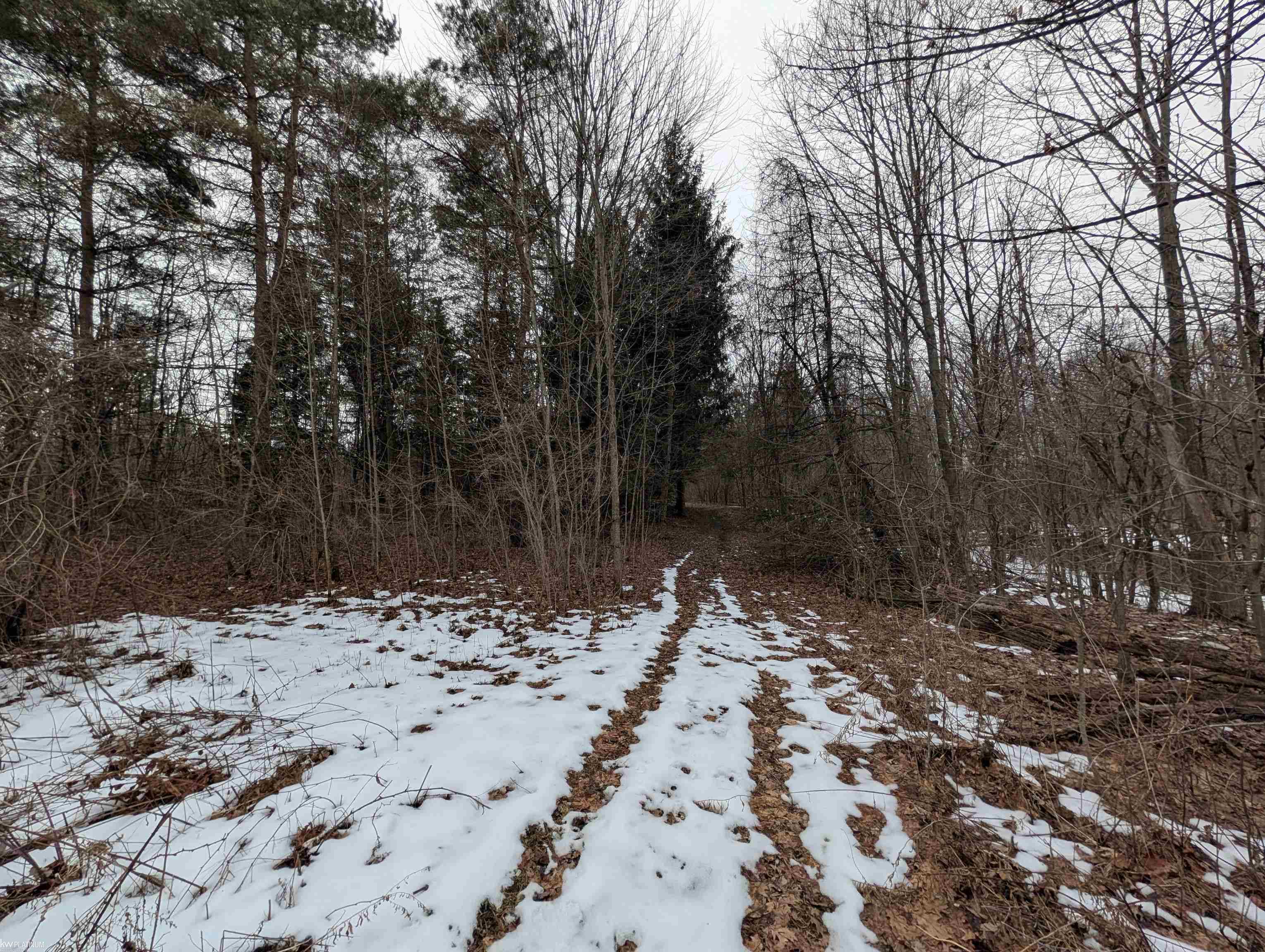 9072 Green Road