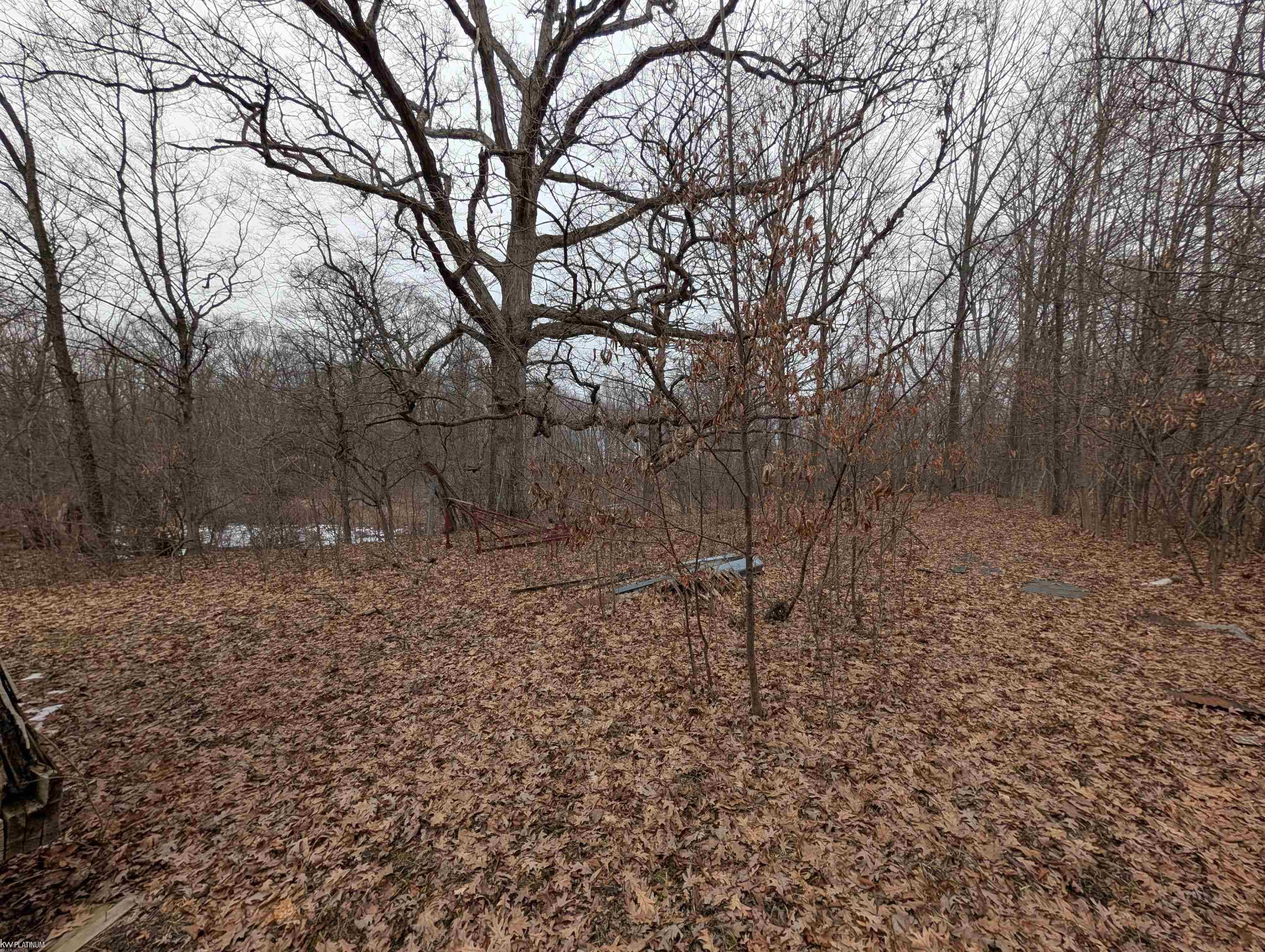 9072 Green Road