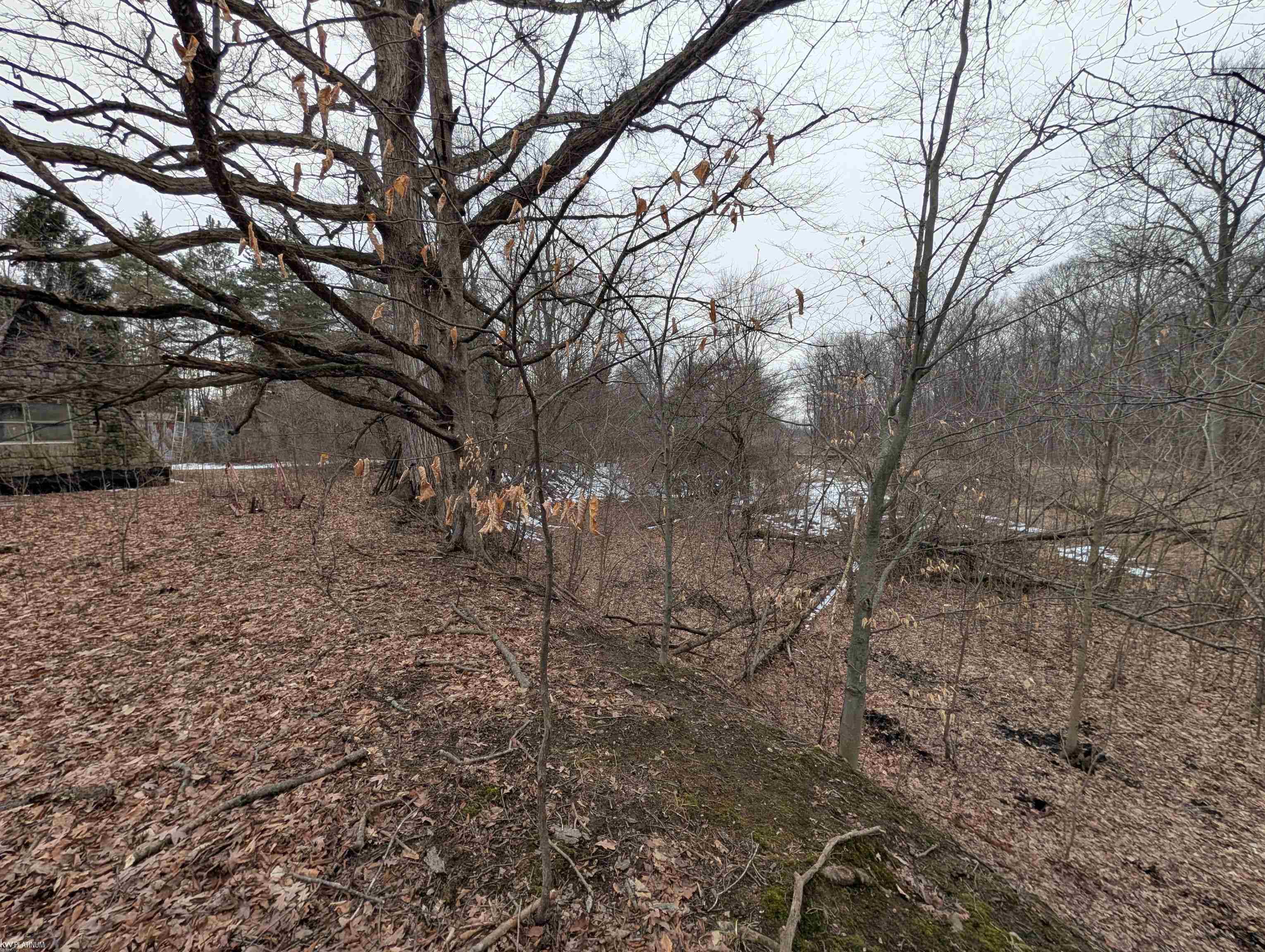 9072 Green Road
