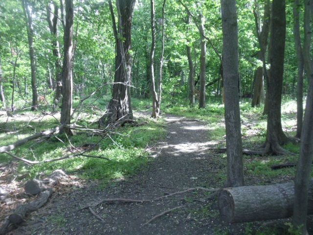 460 W 236TH Street 4B