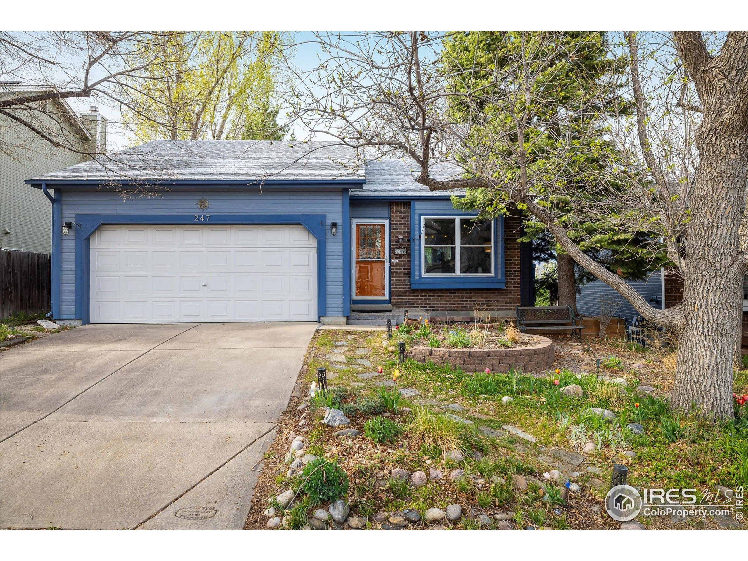 247 Regal St