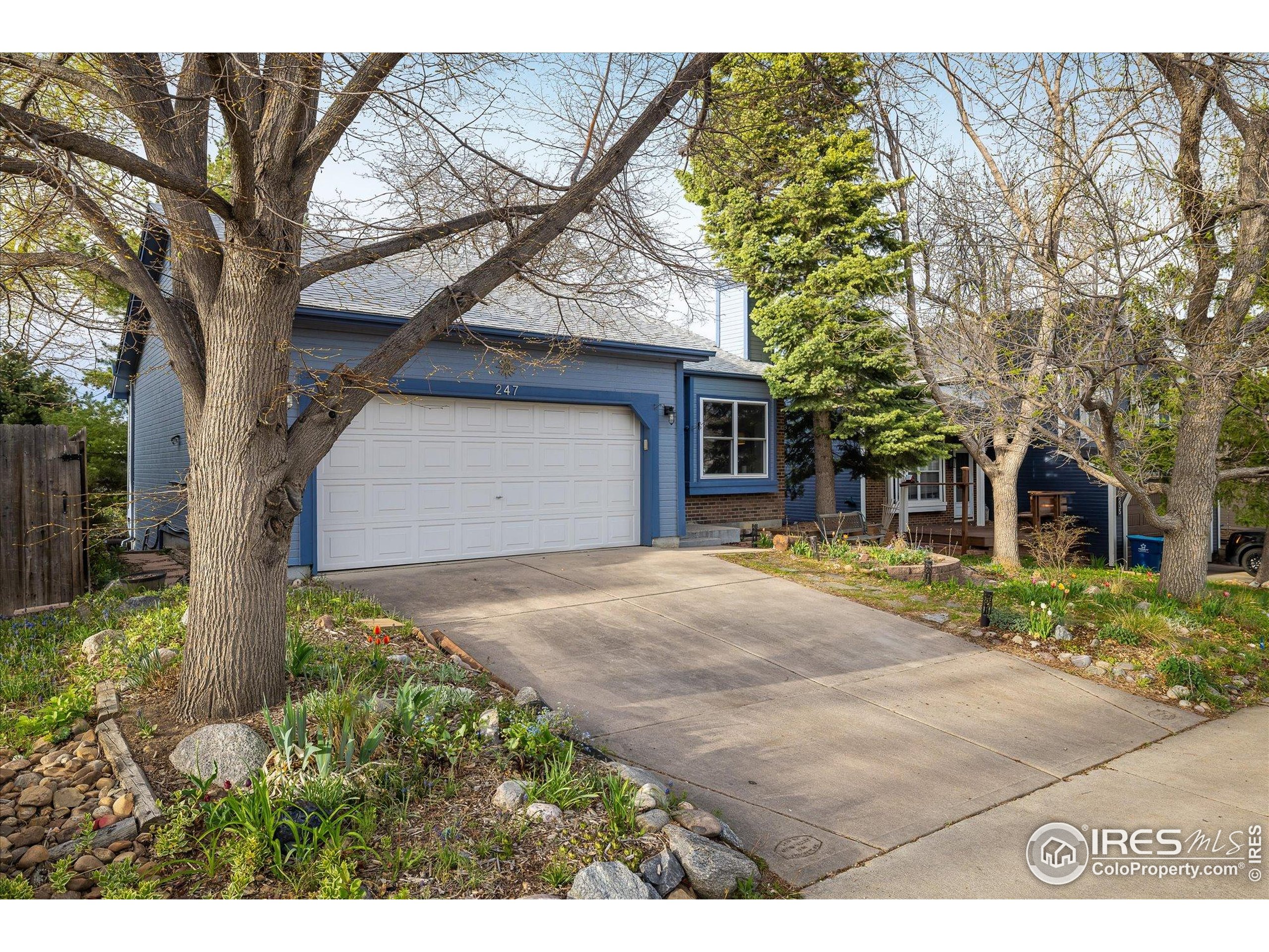 247 Regal St