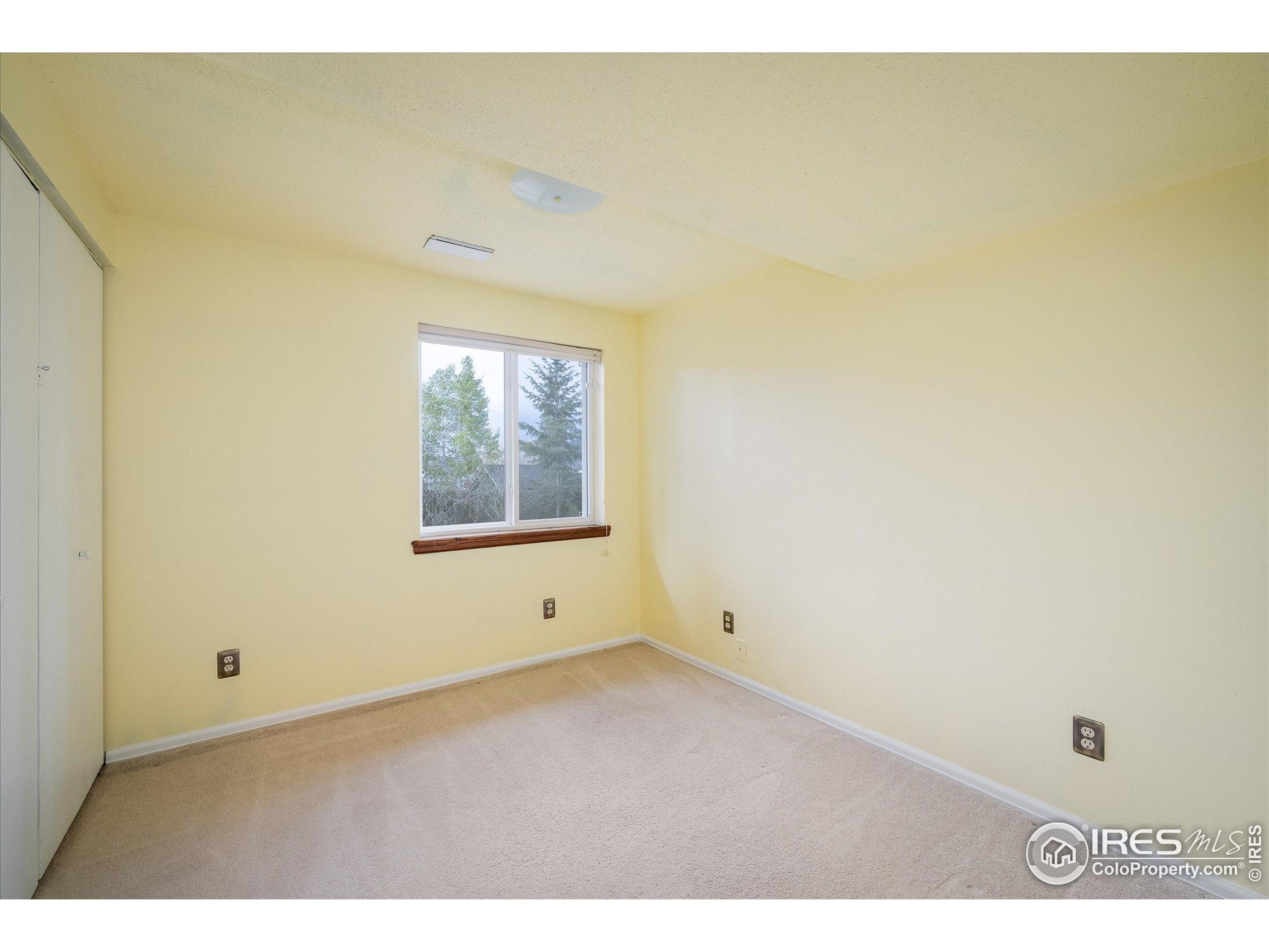 247 Regal St