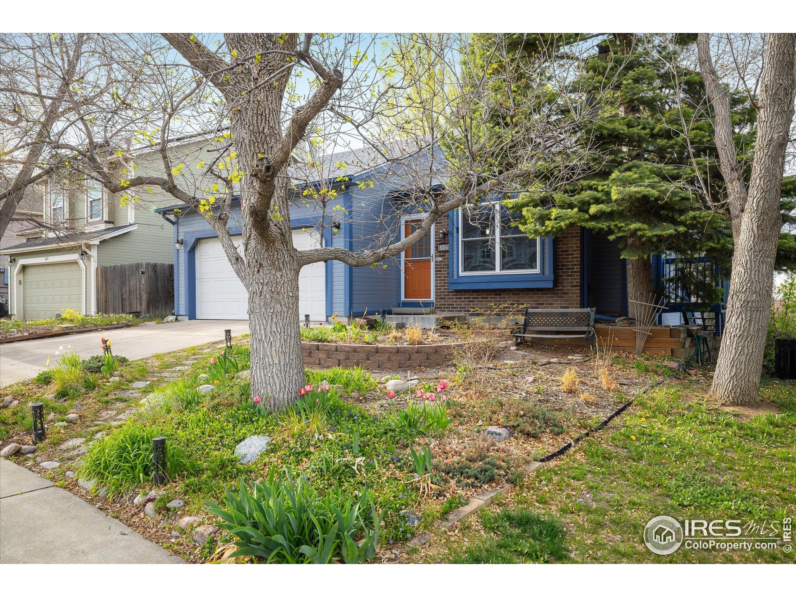247 Regal St