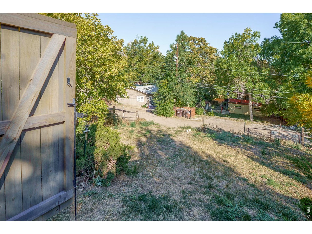 Dry backyard viewed through an open wooden gate, with trees, fencing, and small outbuildings.