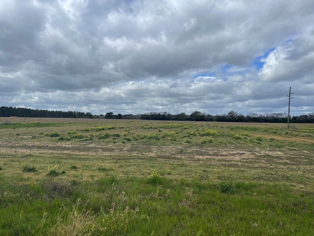 0 County Road 11 Lot 3