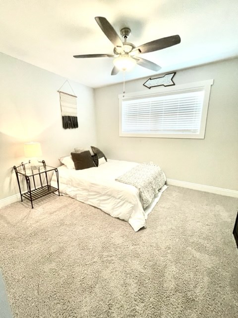 6465 COUNTY ROAD 28