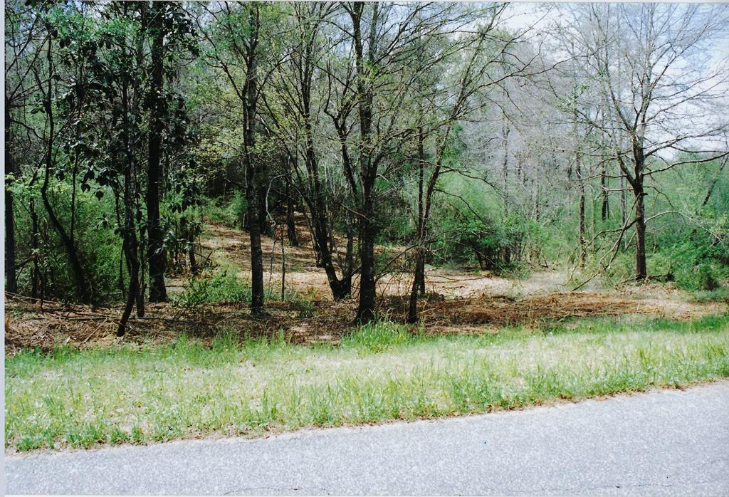 0 County Road 11 Lot 14