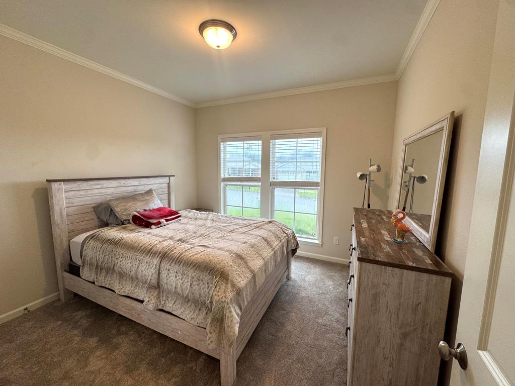 303 Courtland