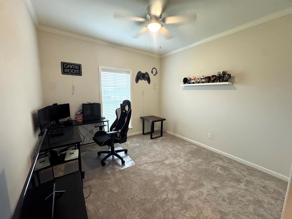 303 Courtland