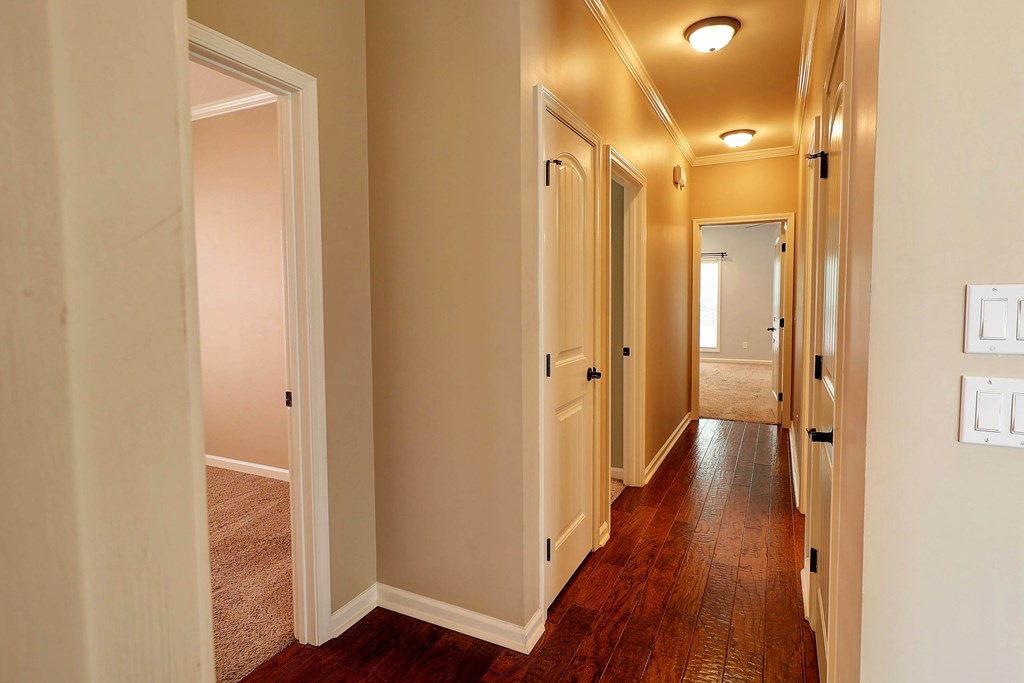 223 Veritas Dr.