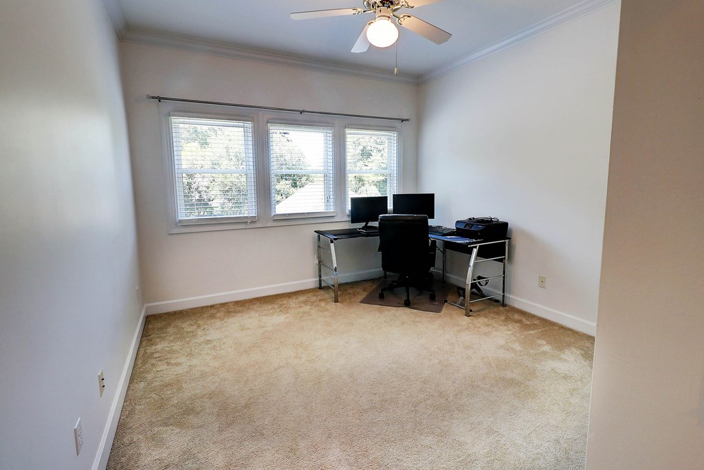 221 Asphodel Drive