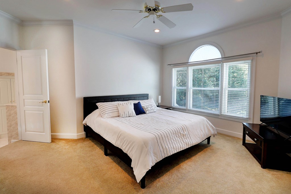 221 Asphodel Drive