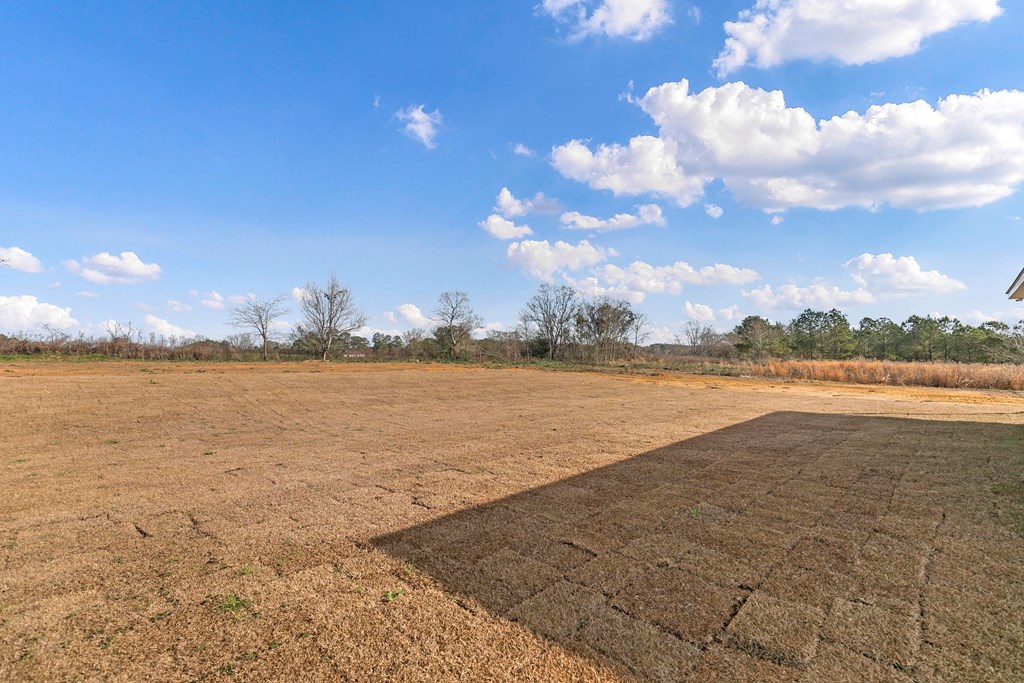 260 Weeping Willow Trail