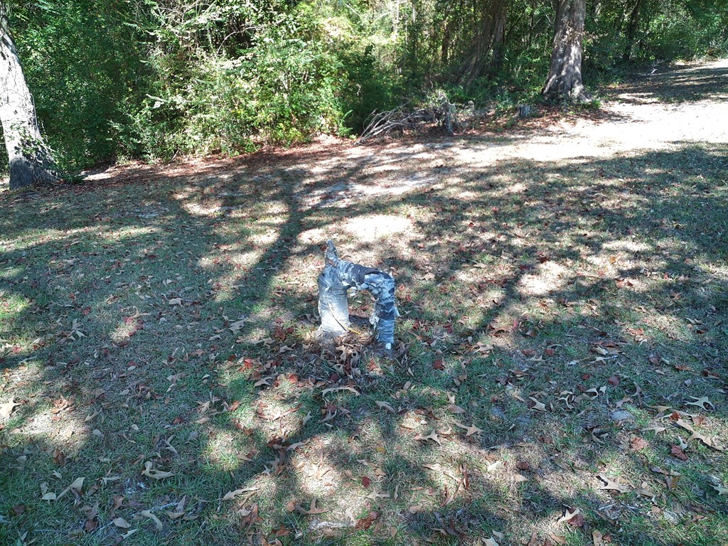 12543 Harrelson Loop