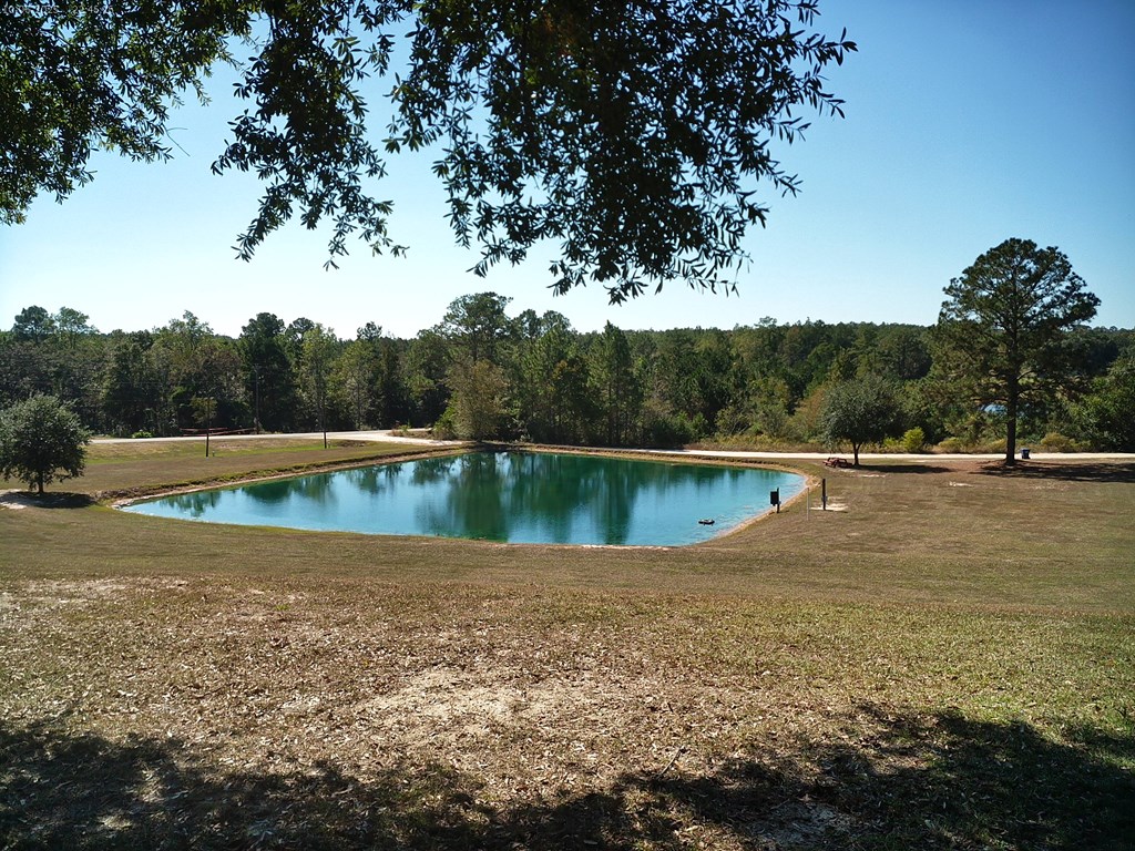 12543 Harrelson Loop