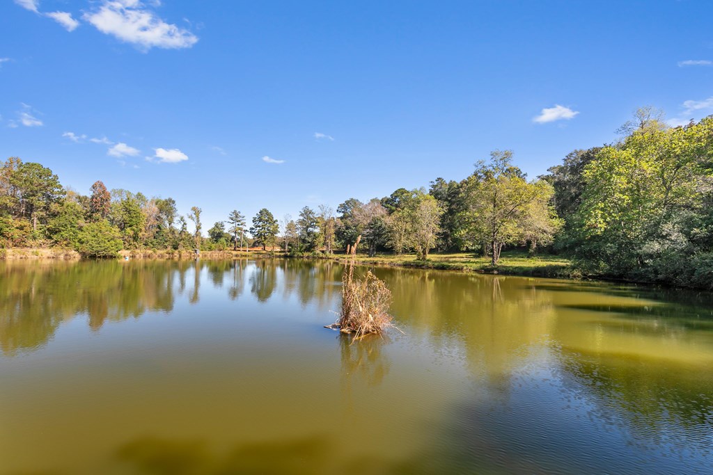 10135 S County Rd 59