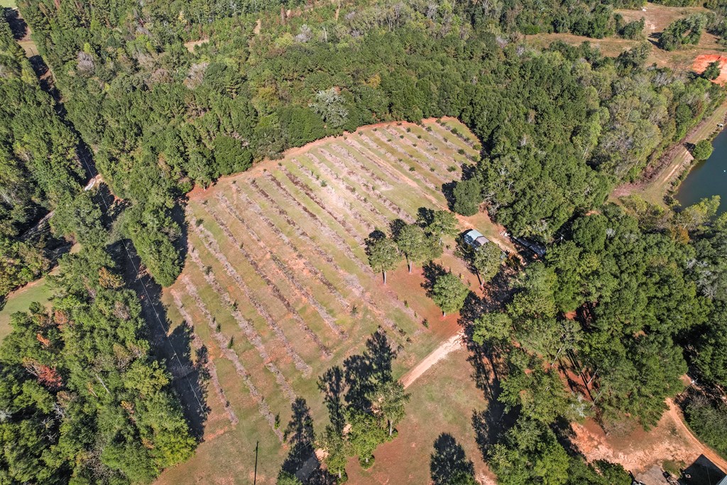 10135 S County Rd 59